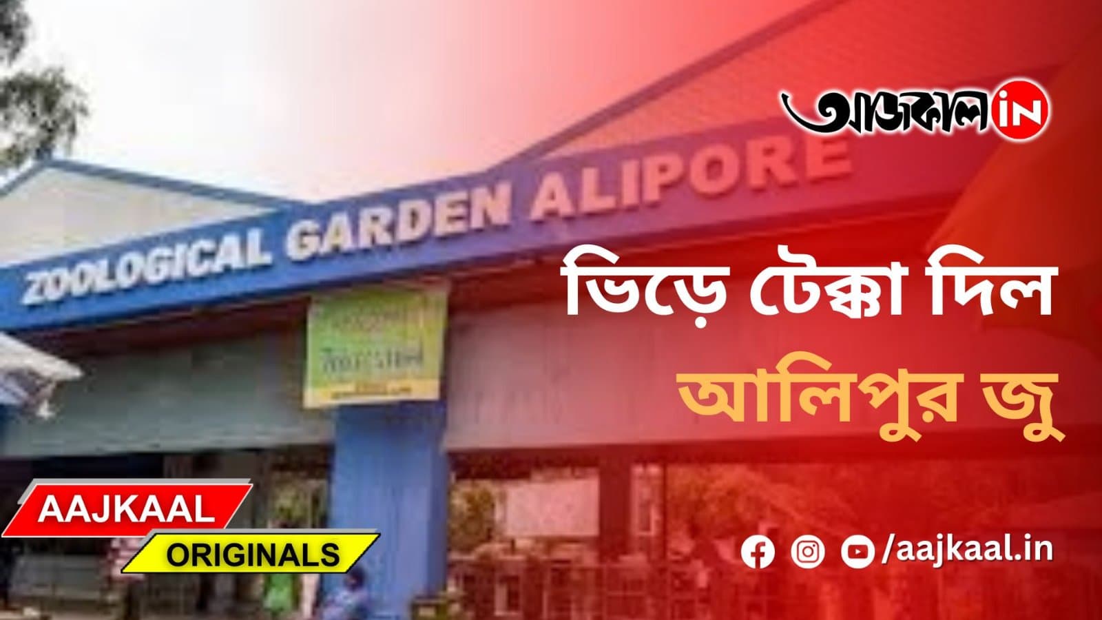 ভিড়ে টেক্কা দিল আলিপুর জু
