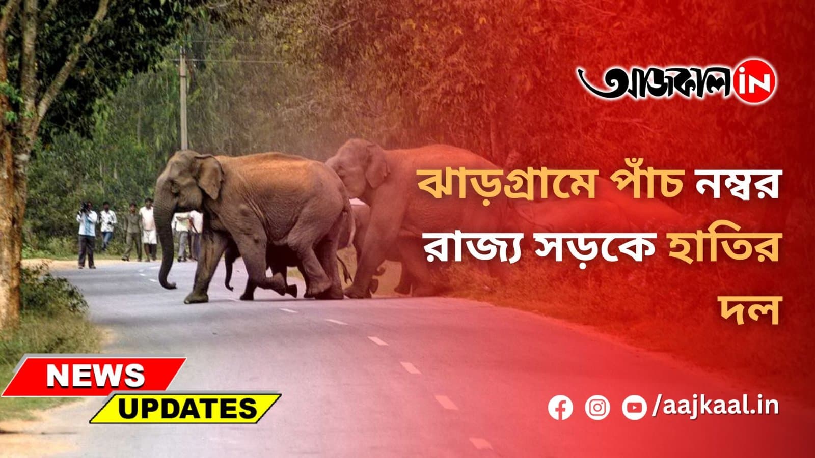ঝাড়গ্ৰামে পাঁচ নম্বর রাজ্য সড়কে হাতির দল