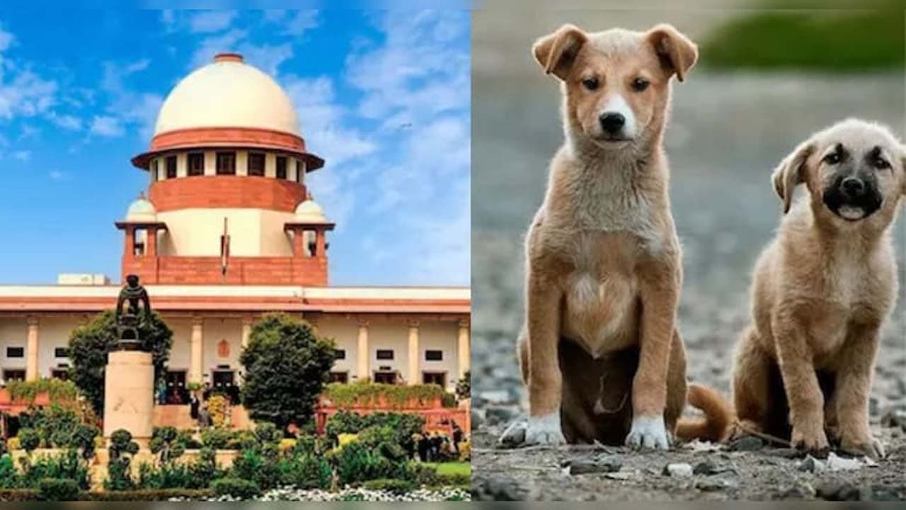 The Supreme Court clarified the guidelines regarding stray dogs