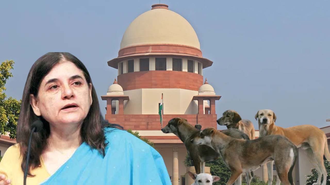 Supreme Court slams Maneka Gandhi on remarks against stray dog order