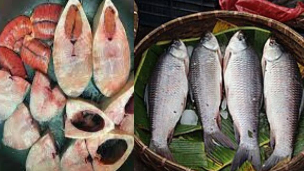 Health tips benefits of eating fish eggs