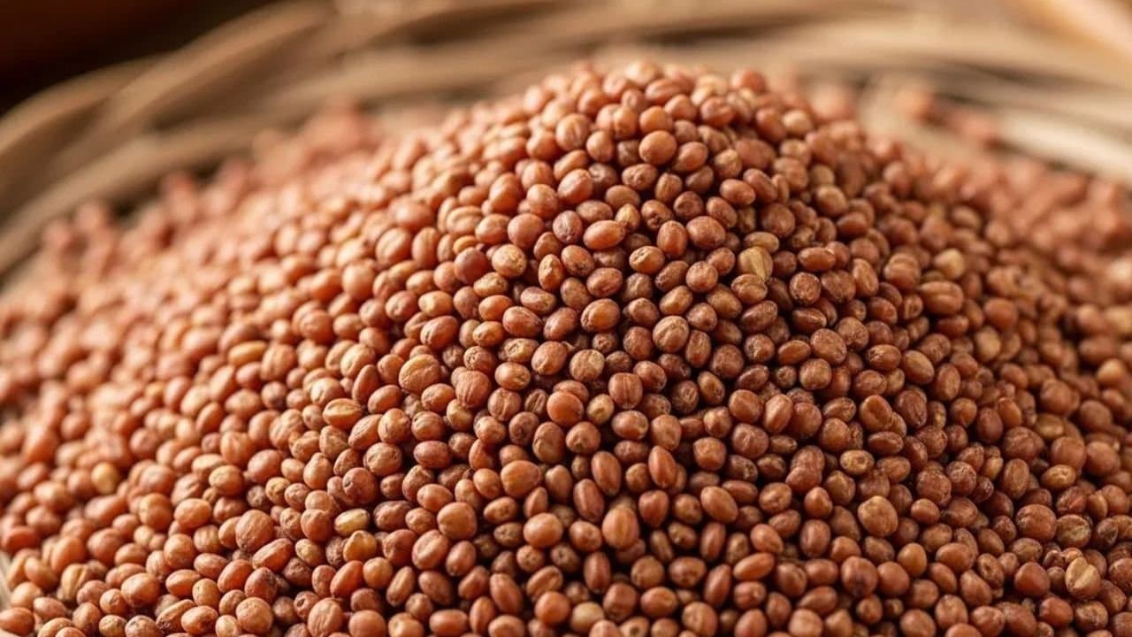 Health tips benefits of having ragi