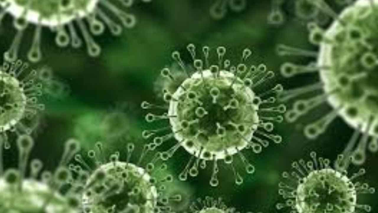 Nipah virus in West Bengal: In Burdwan 48 people kept in quarantine