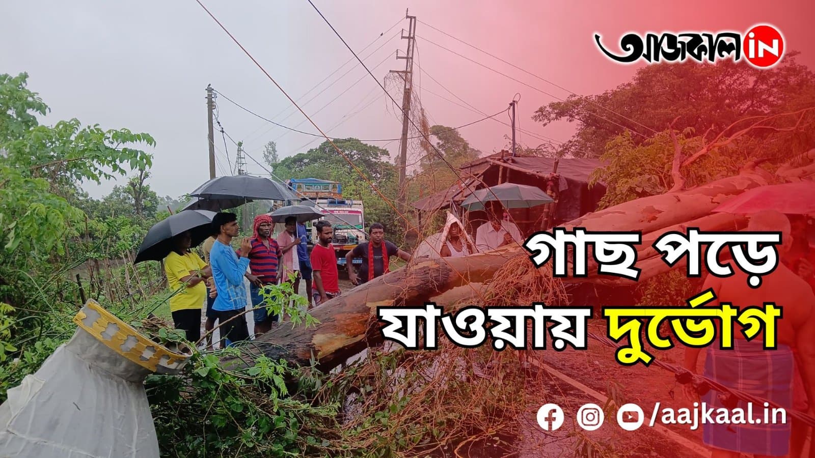 গাছ পড়ে যাওয়ায় দুর্ভোগ
