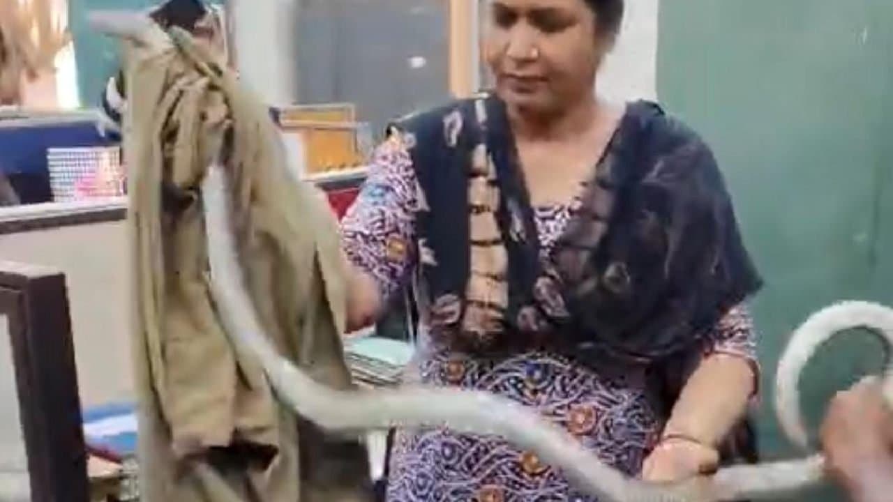 Snake frightened the employees of West Bengal health headquarters