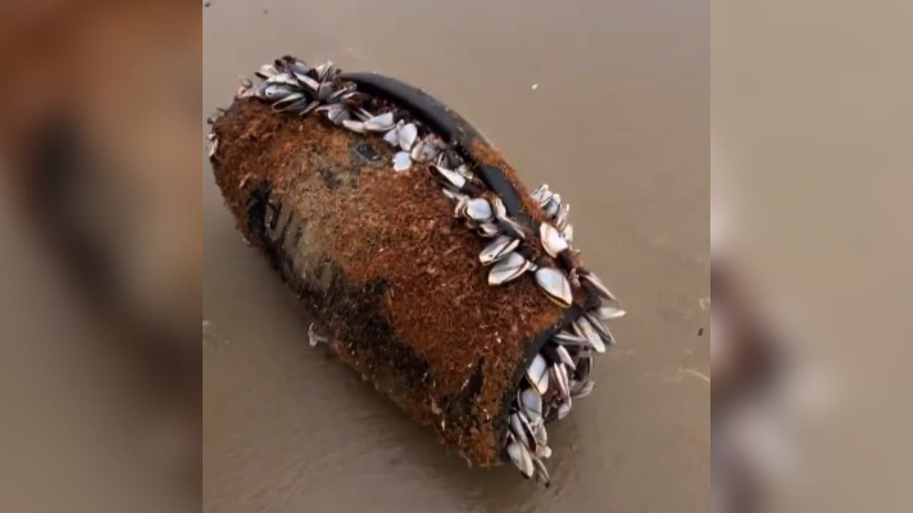 Speaker floats in ocean for months Still Playing Music