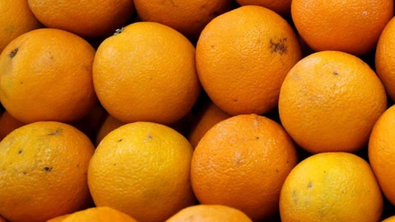 Health tips benefits of eating oranges