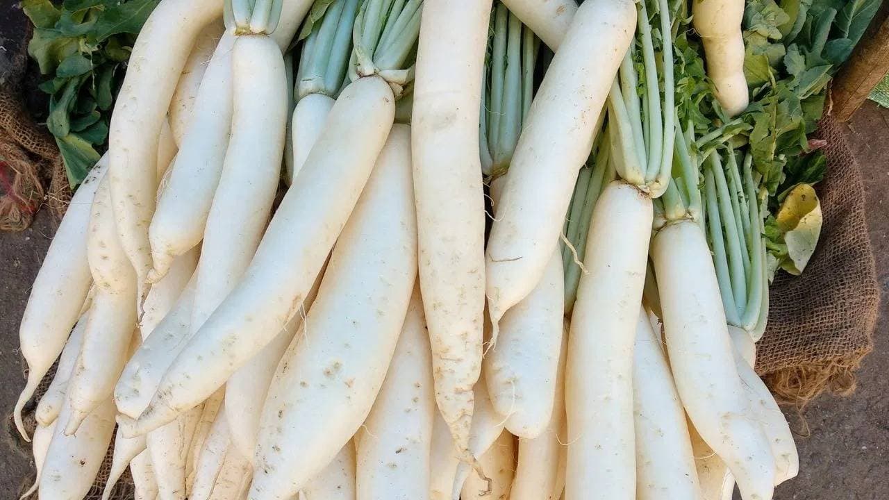 By eating radish in right you will not face any gas bloating problem