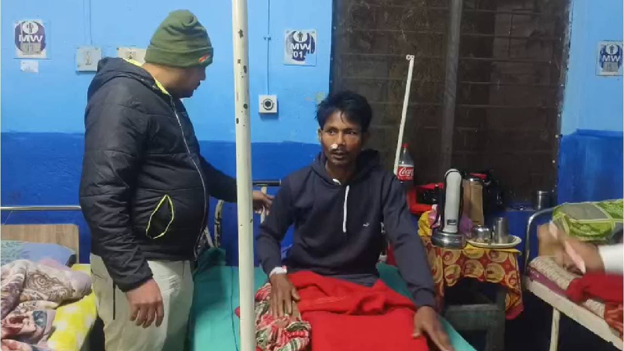 Leopard Terror in Alipurduar: Seven Injured Animal Beaten to Death