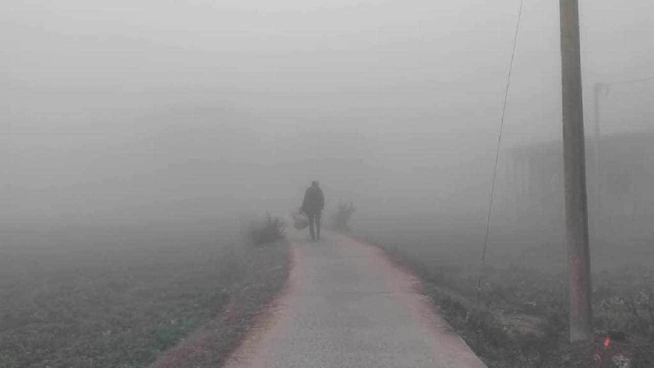IMD Forecast Dense fog has almost crippled normal life in Bengal