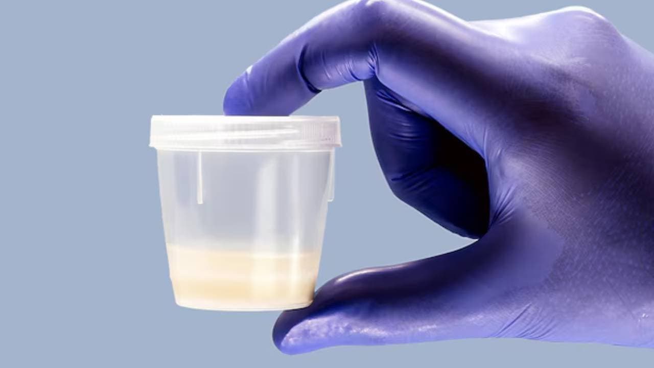 Uk doctor fed seeds to woman patients