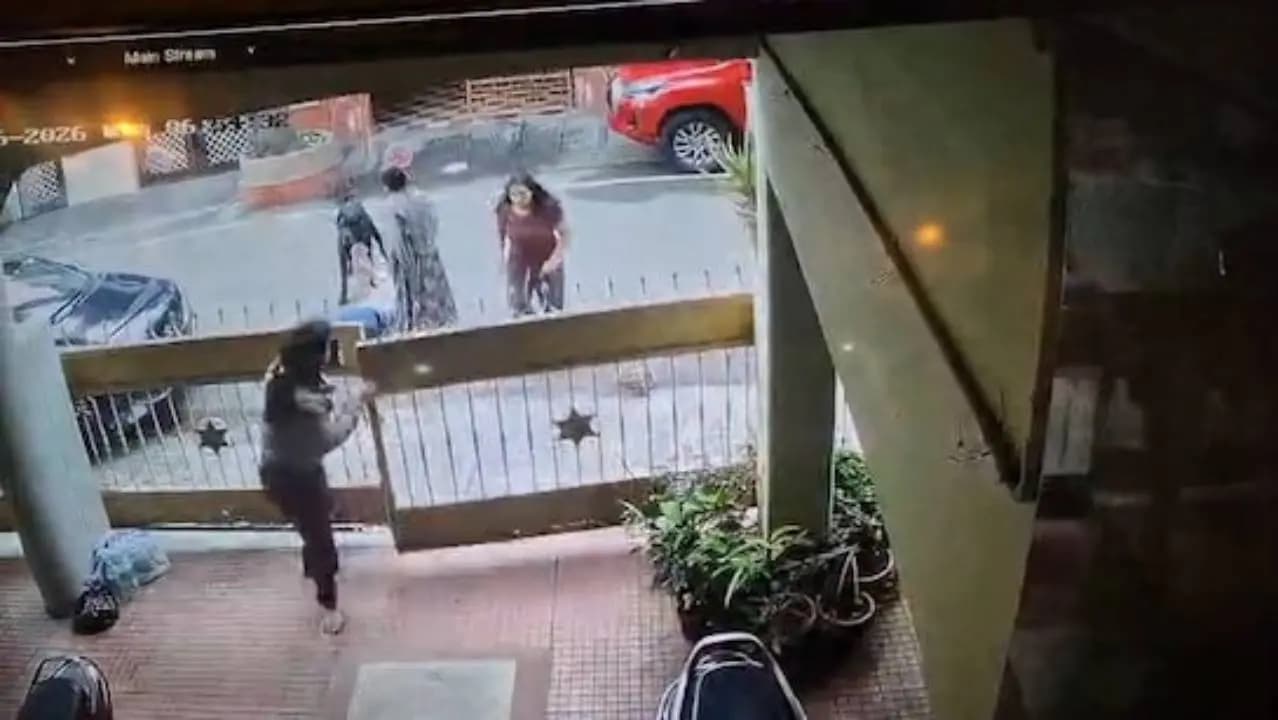 Bengaluru Techie Mauled By Her Neighbours Pet Dog 