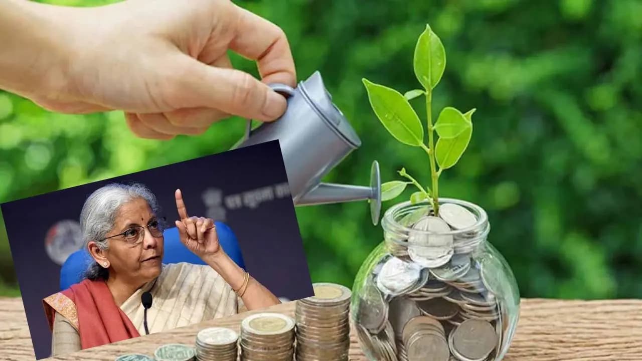 Budget 2026: These five stocks must but ahead February 1