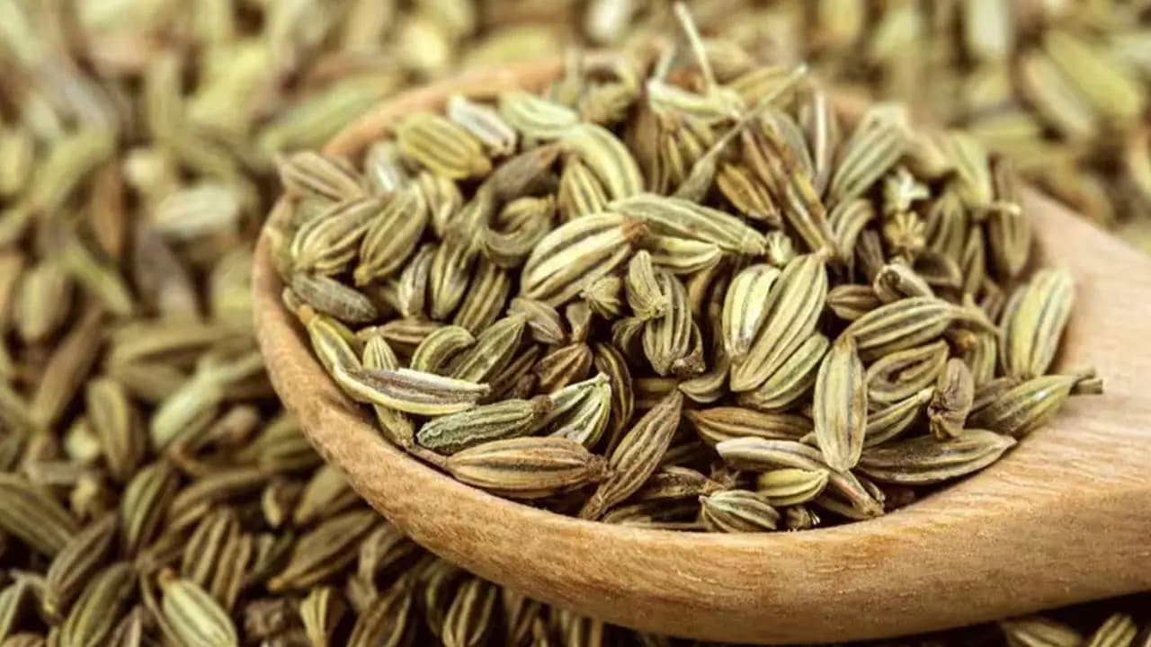 Health tips benefits of having fennel seeds after eating