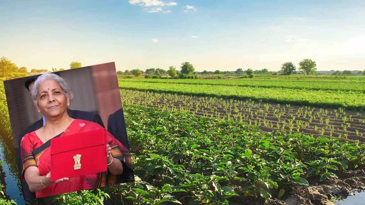 Budget 2026: Indian Agriculture wants more facilities from Nirmala Sitaraman