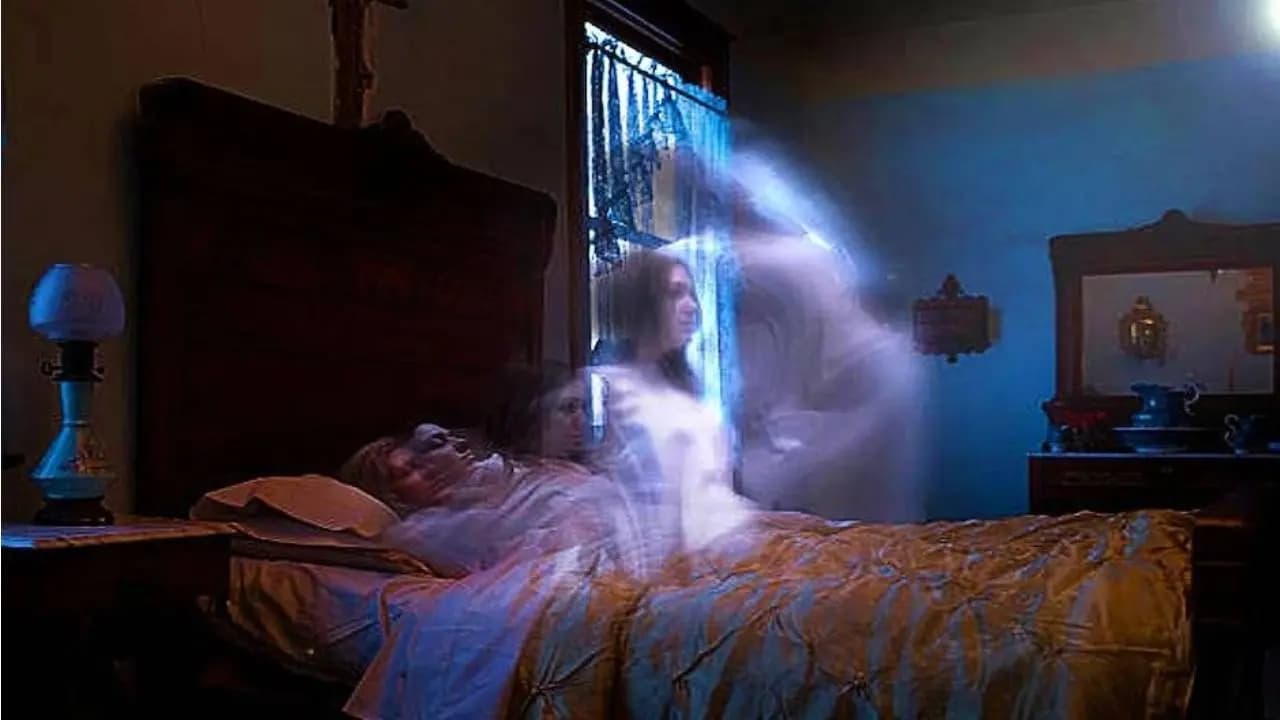 Animals that can give death signs before time