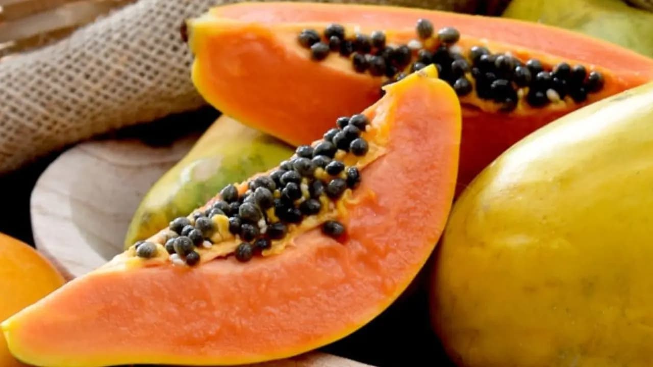 Health tips benefits of having papaya seeds