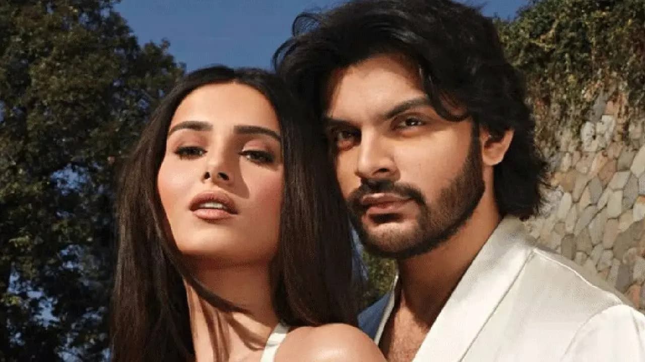 Tara Sutaria skips Veer Pahariyas birthday celebration amid breakup rumours 