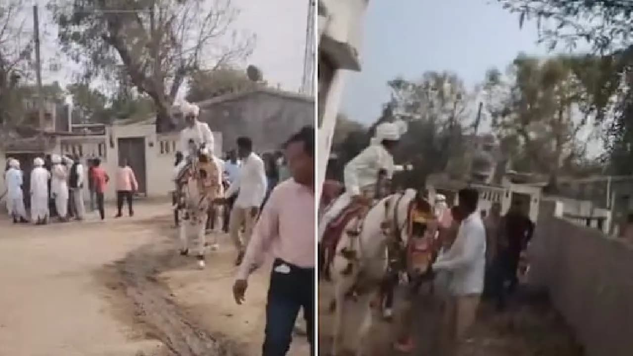 Dalit Groom Attacked With Swords For Riding Horse In Gujarat 