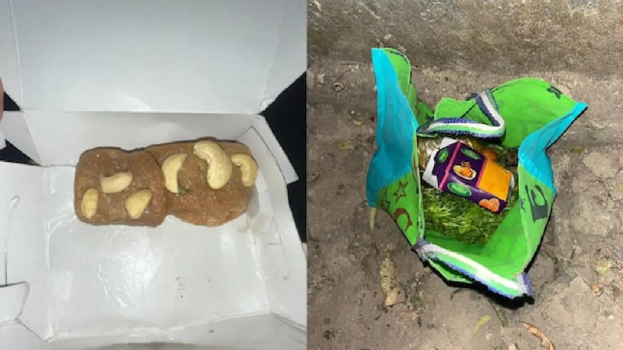 Woman And Two Others Die As In Laws Plant Arsenic Laced Sweets Near Her House in Madhya Pradesh