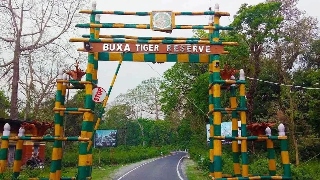 Buxa Tiger Reserve: what will happen to the tigers if rail project open again