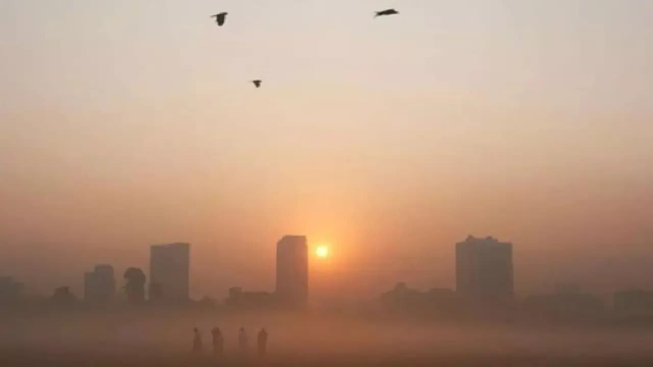IMD Weather Update Shallow to moderate fog reducing visibility in next few days in bengal districts here update 