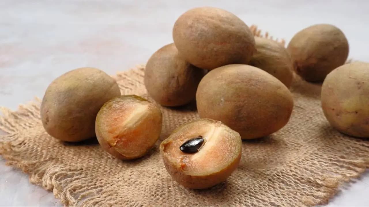 Chickoo for diabetes safe or not