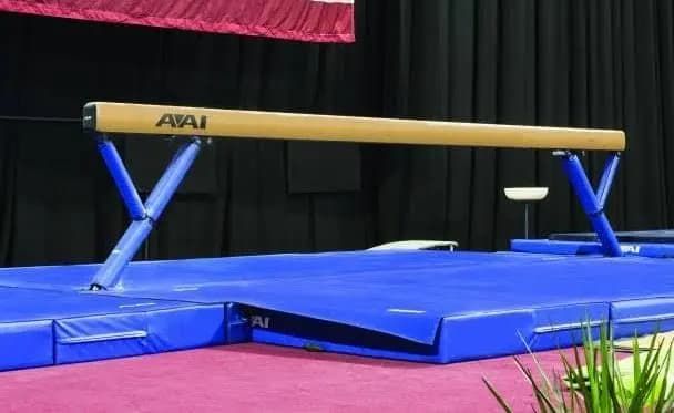 Teen gymnast dies after serious neck injury at School Games-family points negligence 