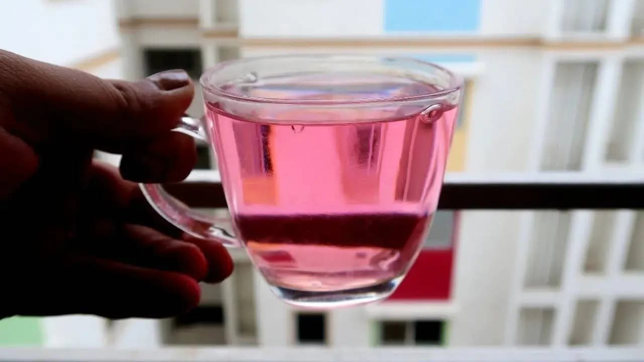 Kerala Pink water Pathimugam Sappan water benefits