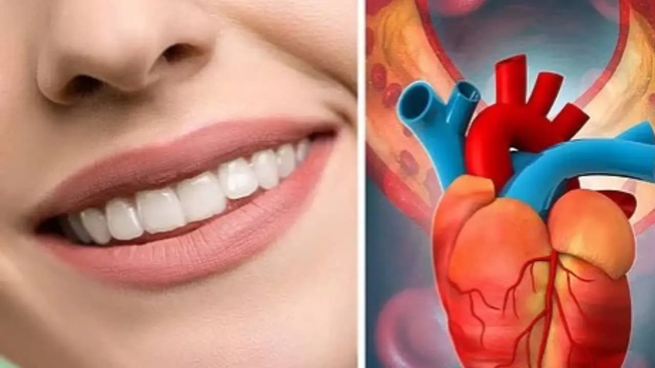 Oral hygiene heart health connection