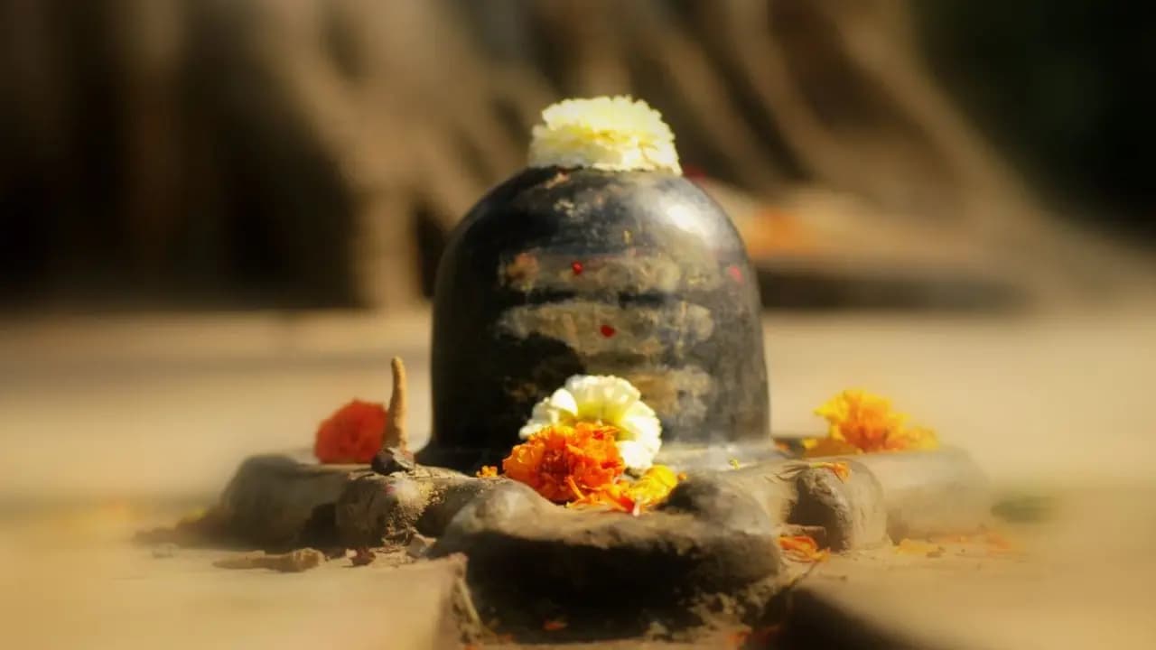 Why no one should never eat the prasad offered to the shivling