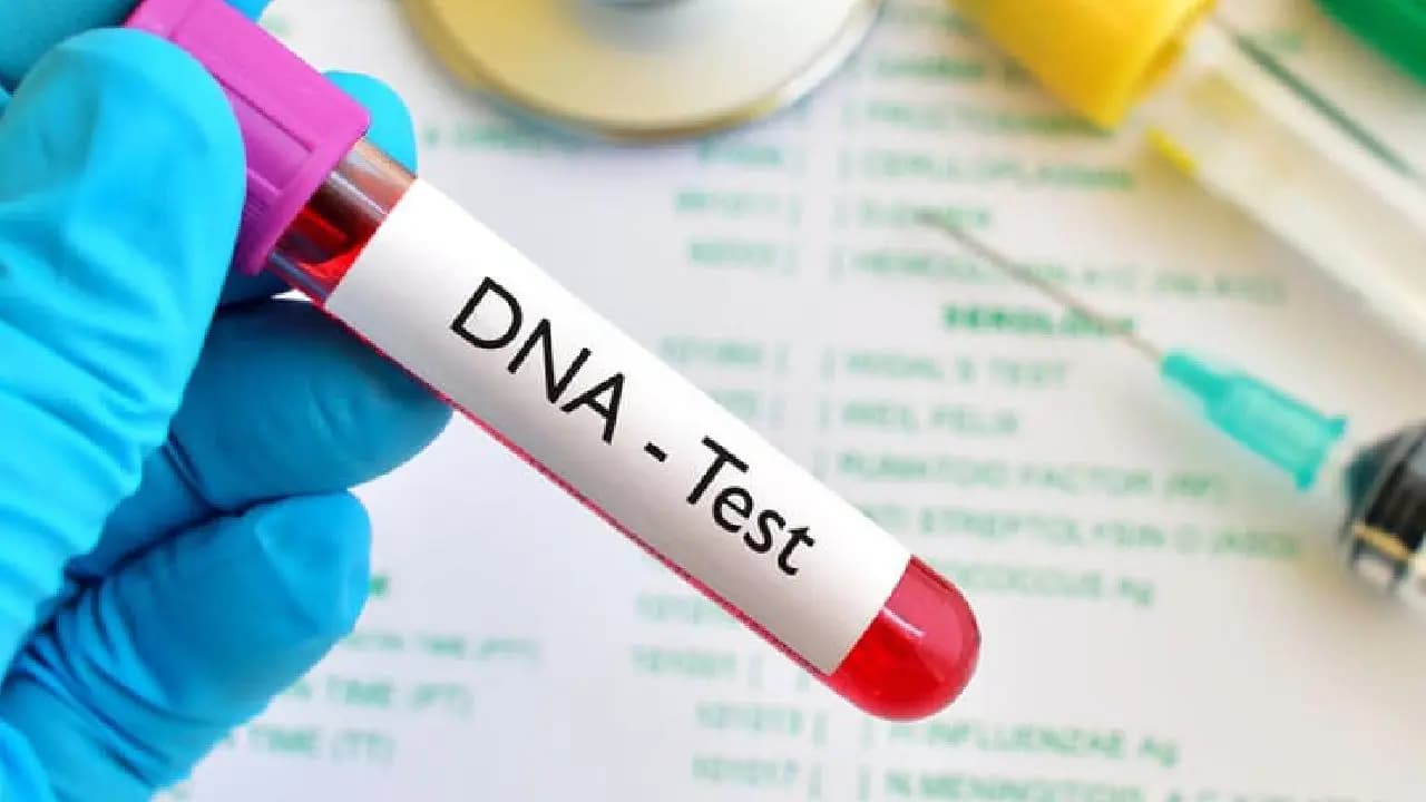 DNA Test: 17 Men DNA Tested Over Pregnant Mumbai Woman Physical Assault Then Father Was A Match