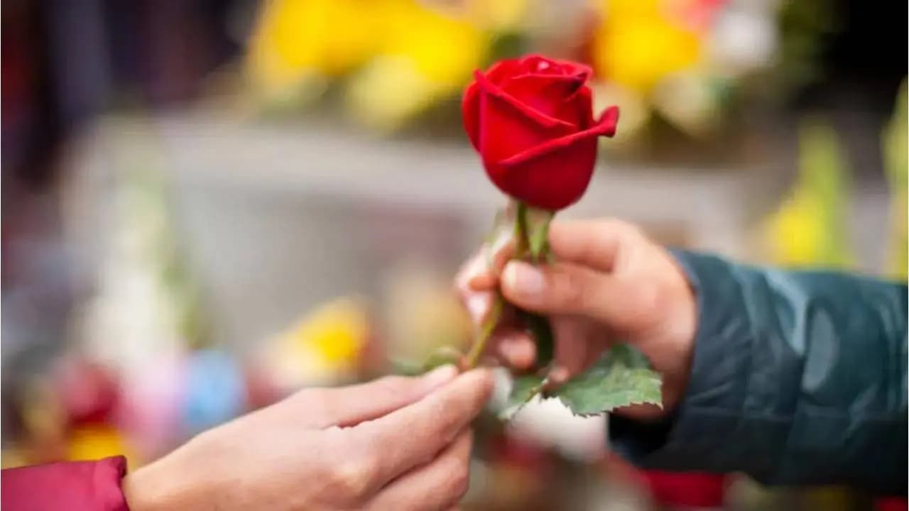 Rose Day 2026 marks the beginning of Valentine s Week