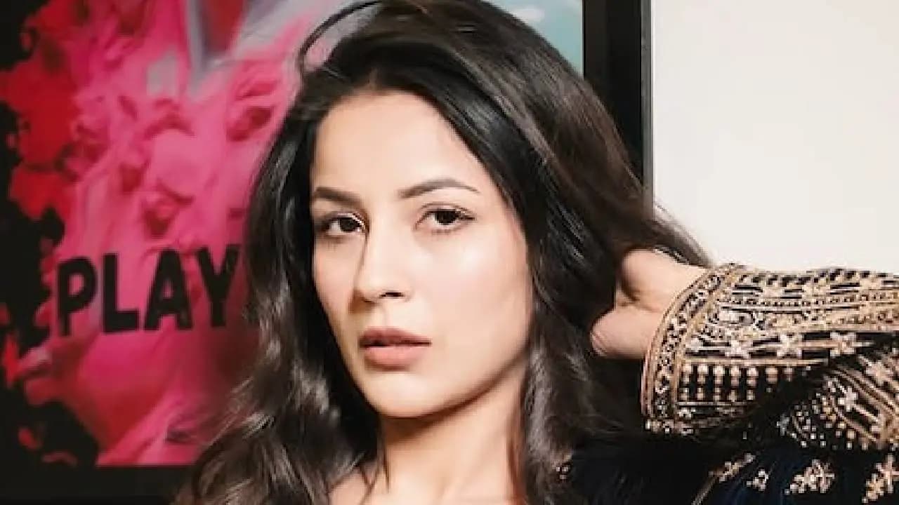 Shehnaaz Gill faces backlash from social media 