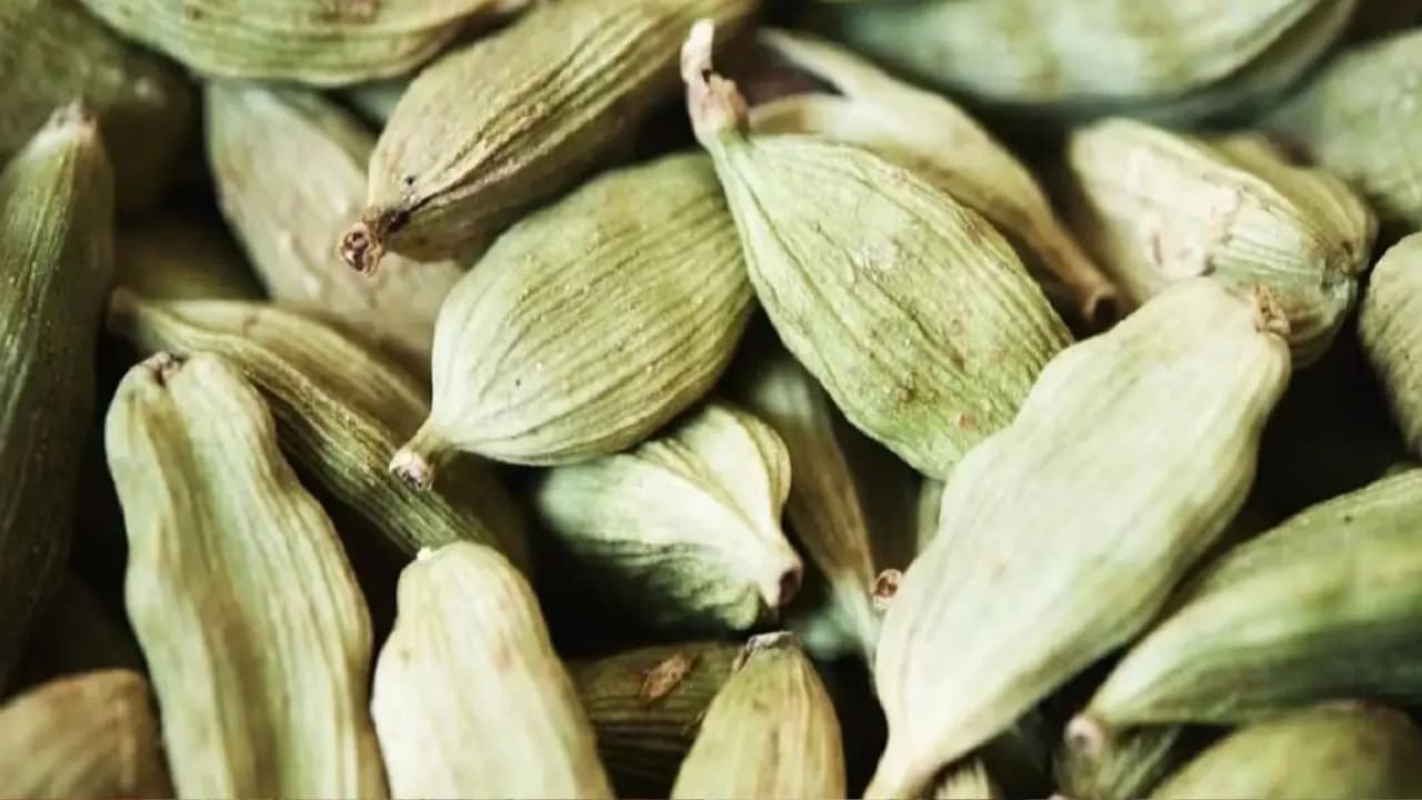cardamom