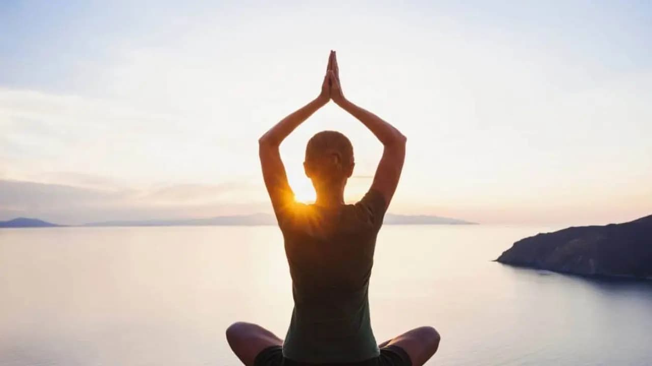 Meditation can also reshape brain activity by profoundly altering brain dynamics 