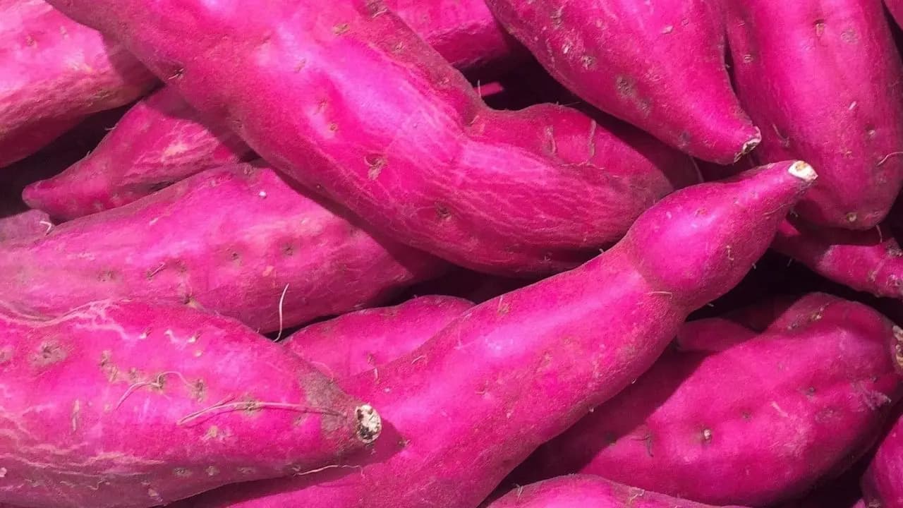 হার্ট, চোখের মহৌষধ! পাতে রাখুন শুধু এই সুপারফুড