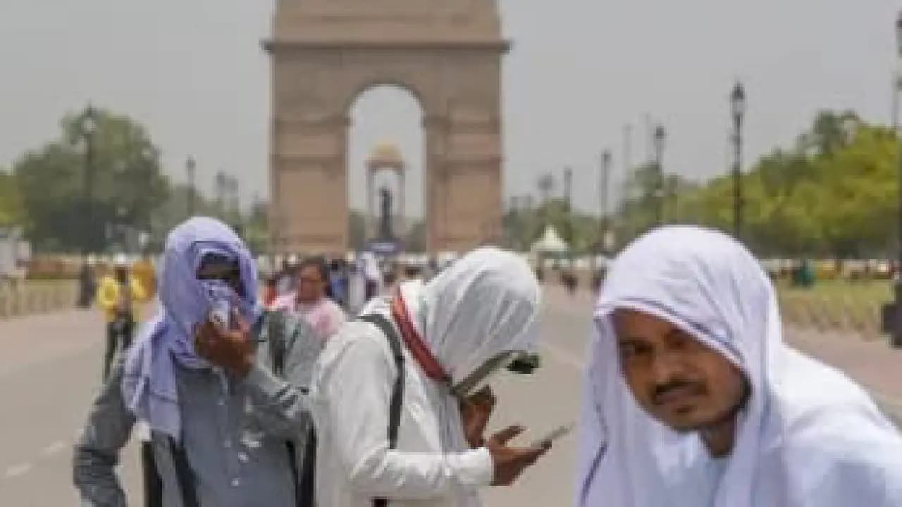 IMD Weather Forecast: Winter Ends In Delhi Noida Gurugram As Temperature Continue To Rise