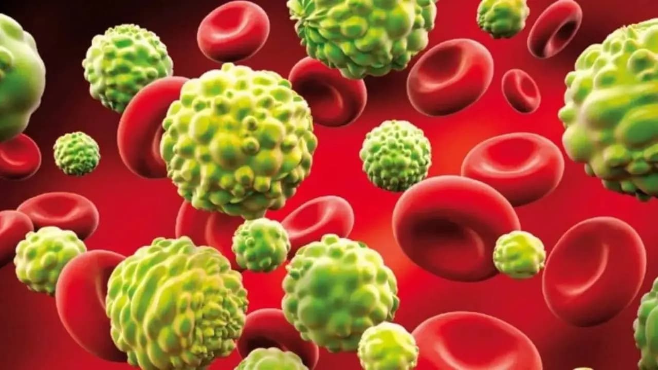 Cancer risk causing habits