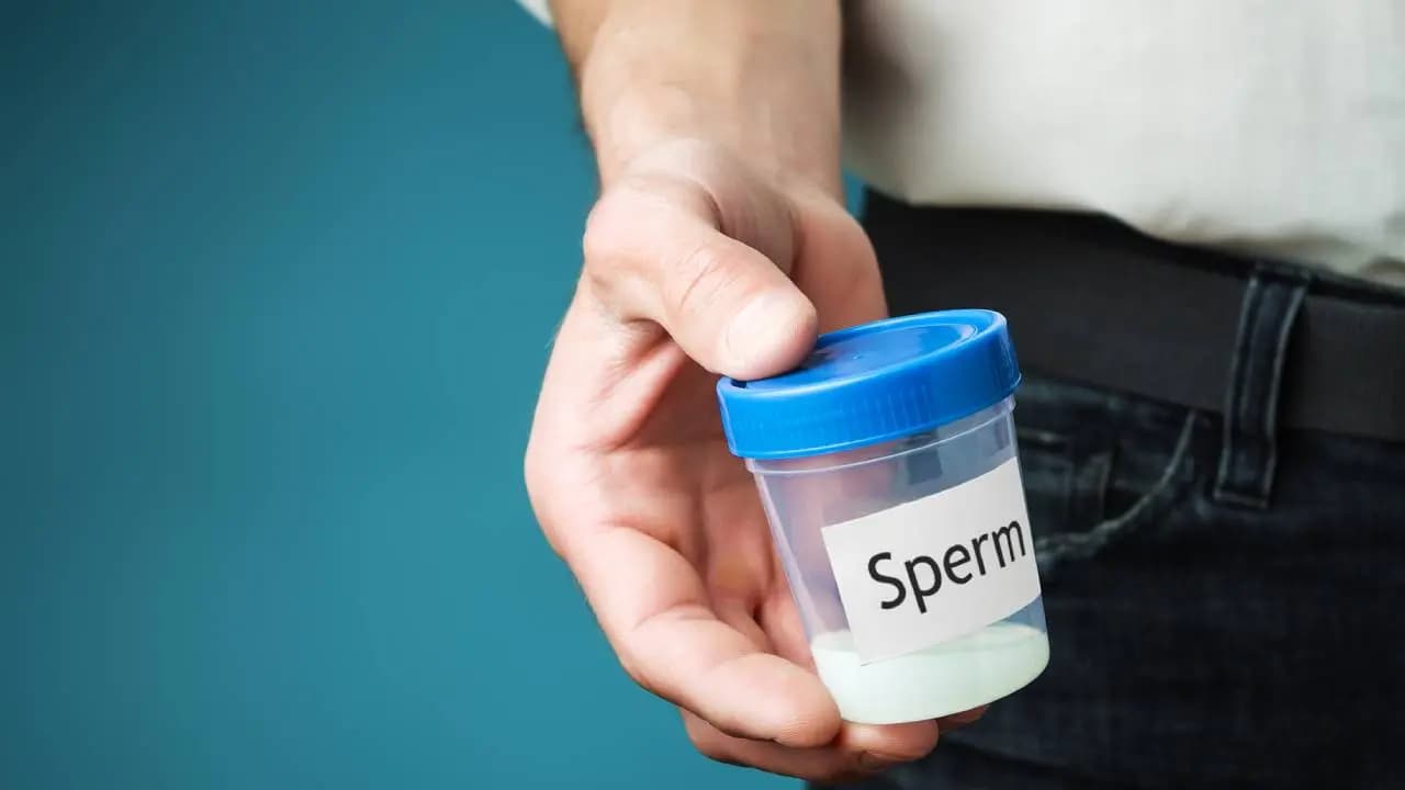 Dark chocolate may increase fertility rate