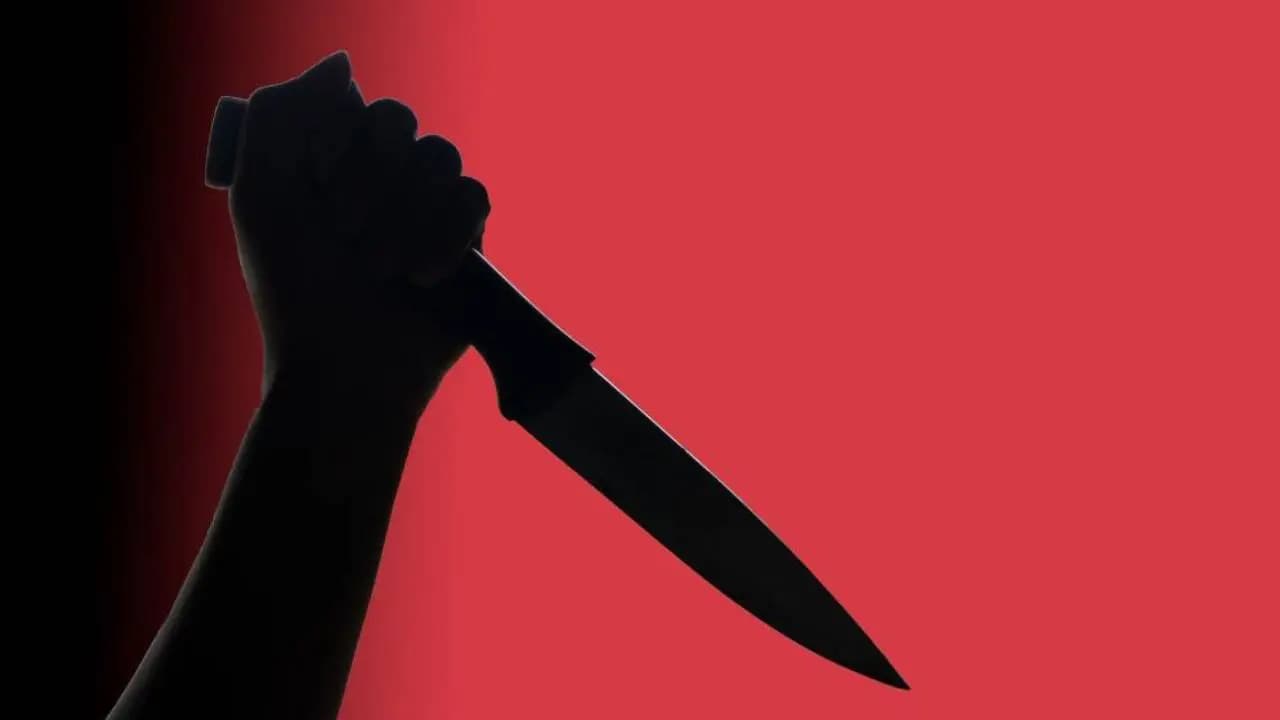 Youtuber daughter slits throat of father