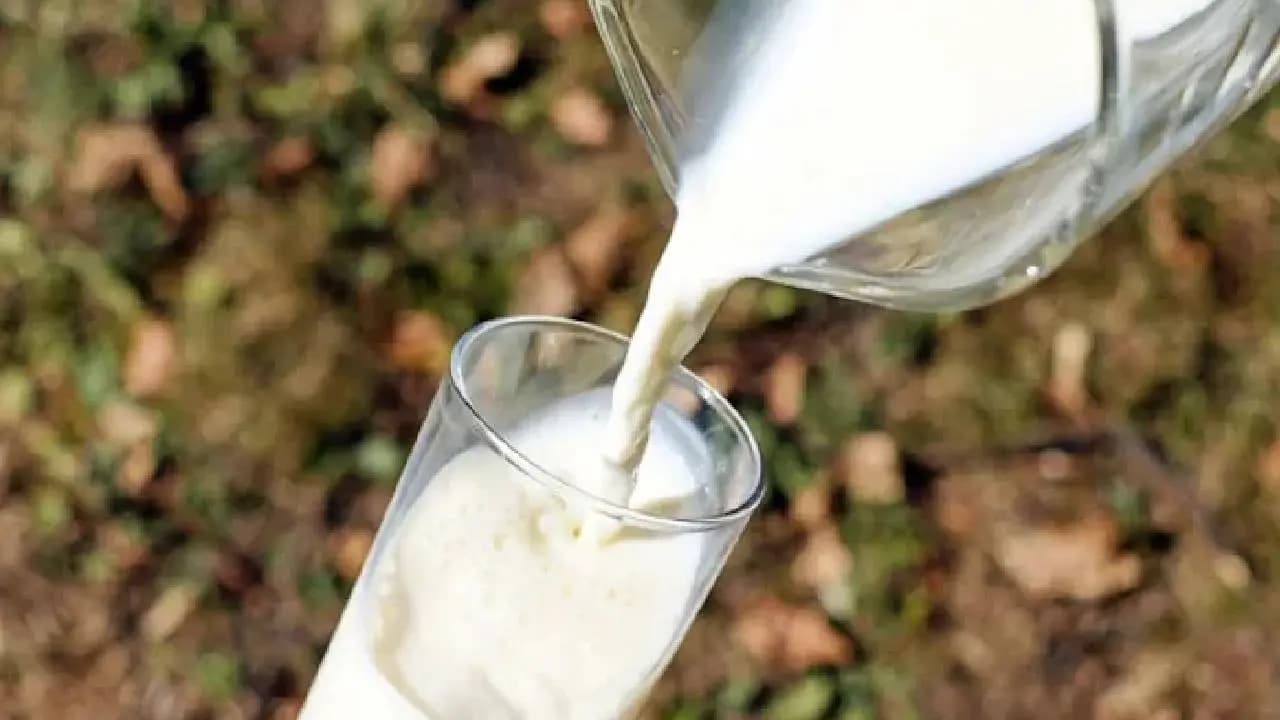 Dispute Over Milk Takes Nasty Turn As Woman Chews Farmers Finger 