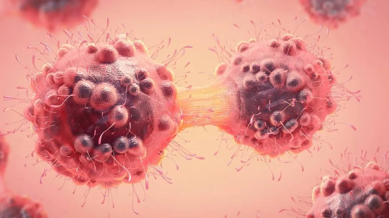 Which body parts develop cancer first