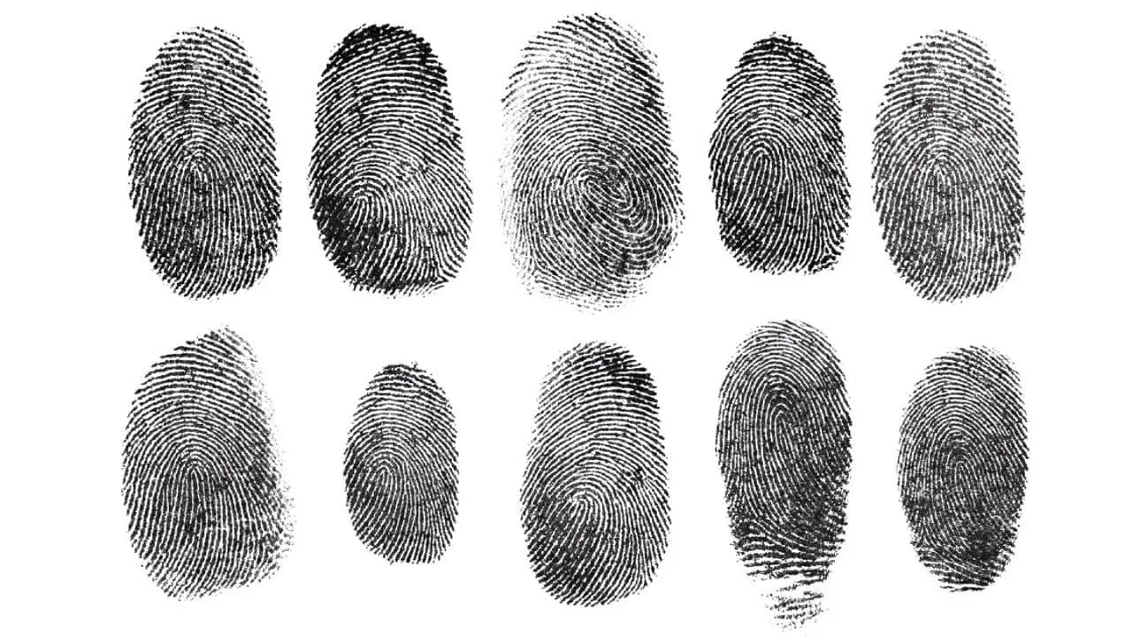 Fingerprints: DNA Same But Twins Fingerprints Not Same The Science Behind It 