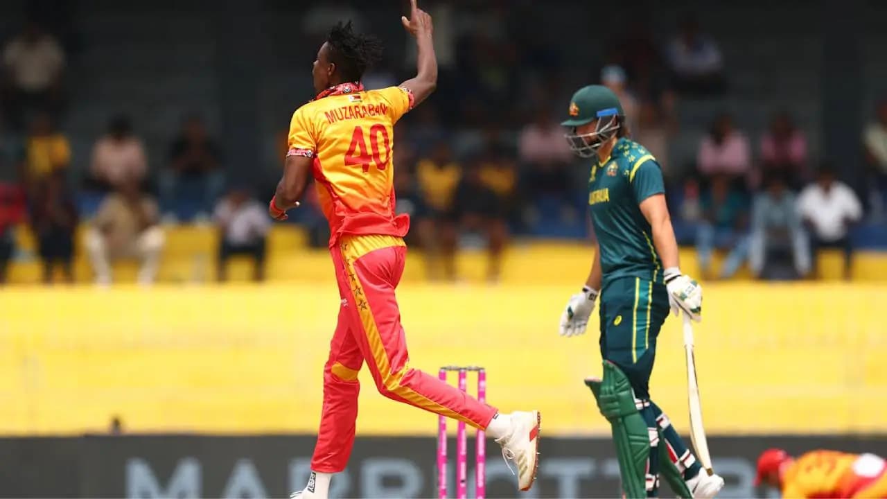How Australia can qualify for super eight after Zimbabwe defeat