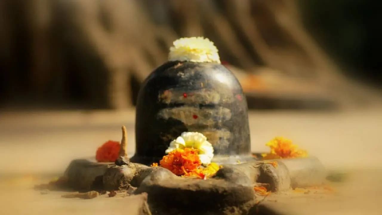 Maha Shivratri: Performer Recites 32 Names of Lord Shiva in One Breath