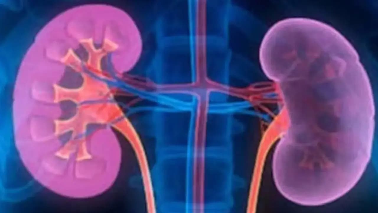 অজান্তে বিকল হচ্ছে কিডনি? এই ৪ উপসর্গ দেখলেই সাবধান