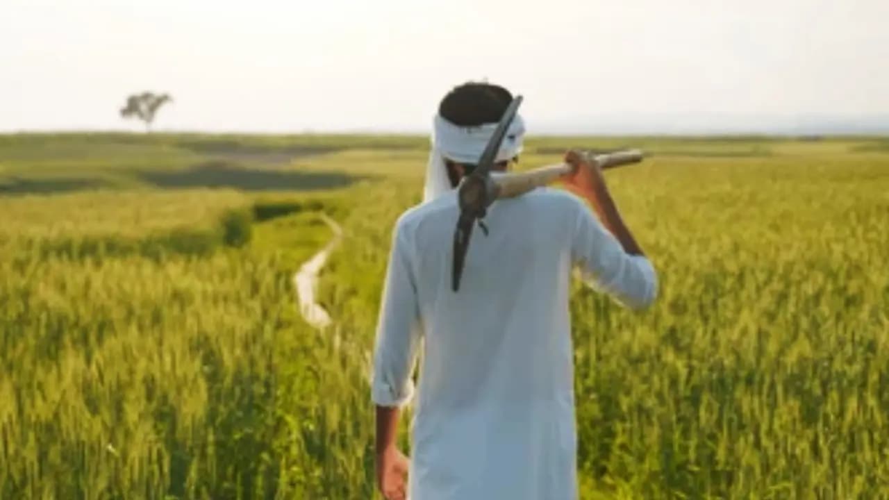 AI will help Farmers Govt Set To Launch Bharat VISTAAR know what is this What Is The AI Tool 