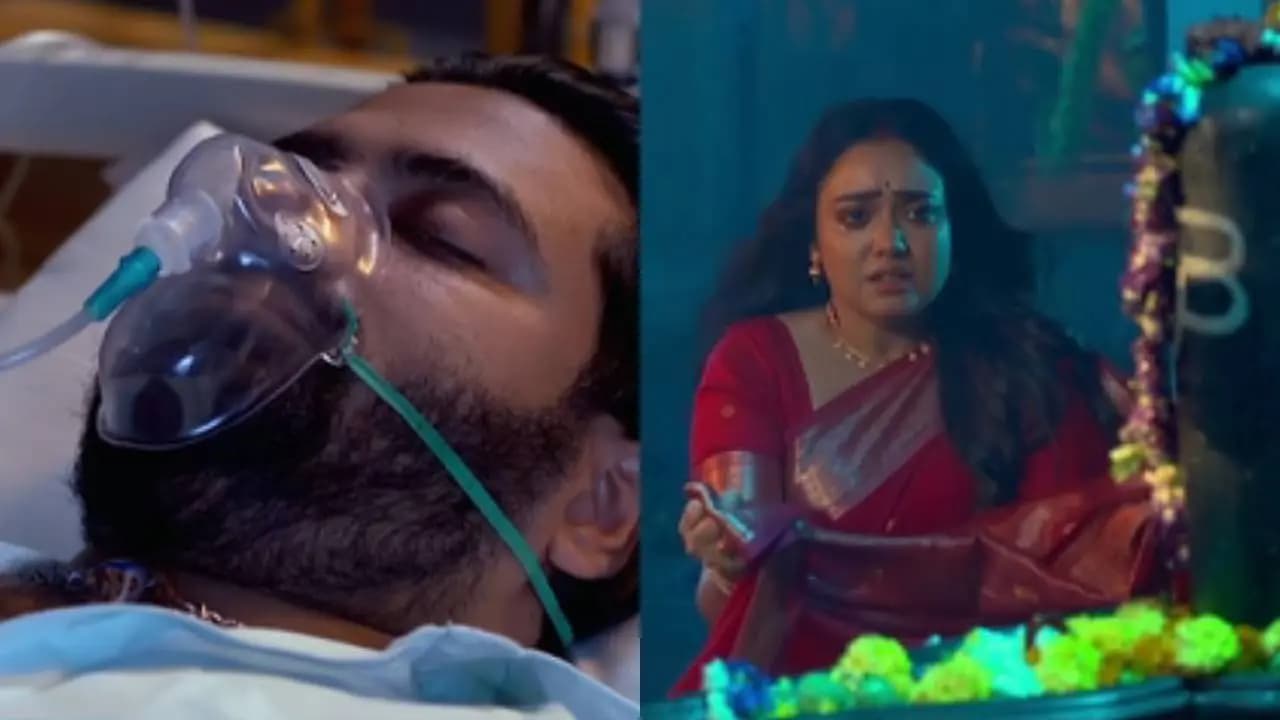 Upcoming episode details of popular bangla serial Dadamoni 