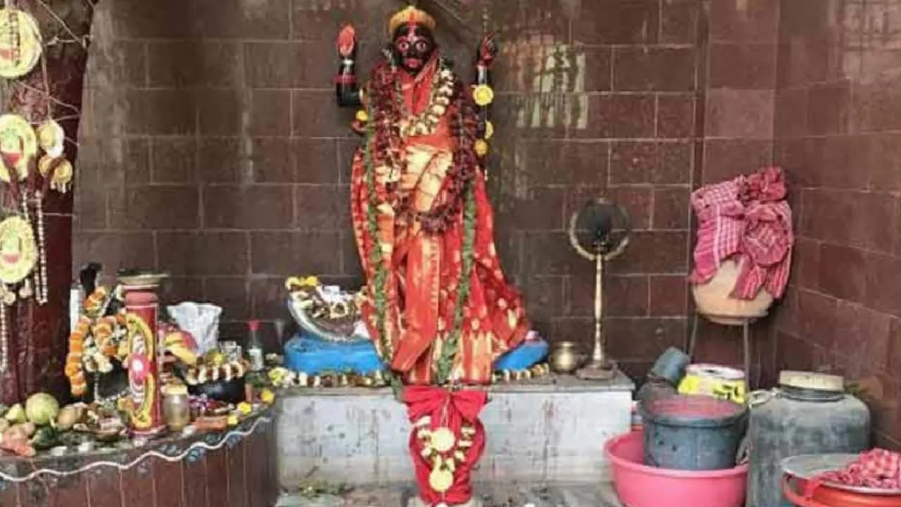 Chinese Food: Do You Know Why This Kali Temple In Kolkata Offers Chinese Food As Prasad 